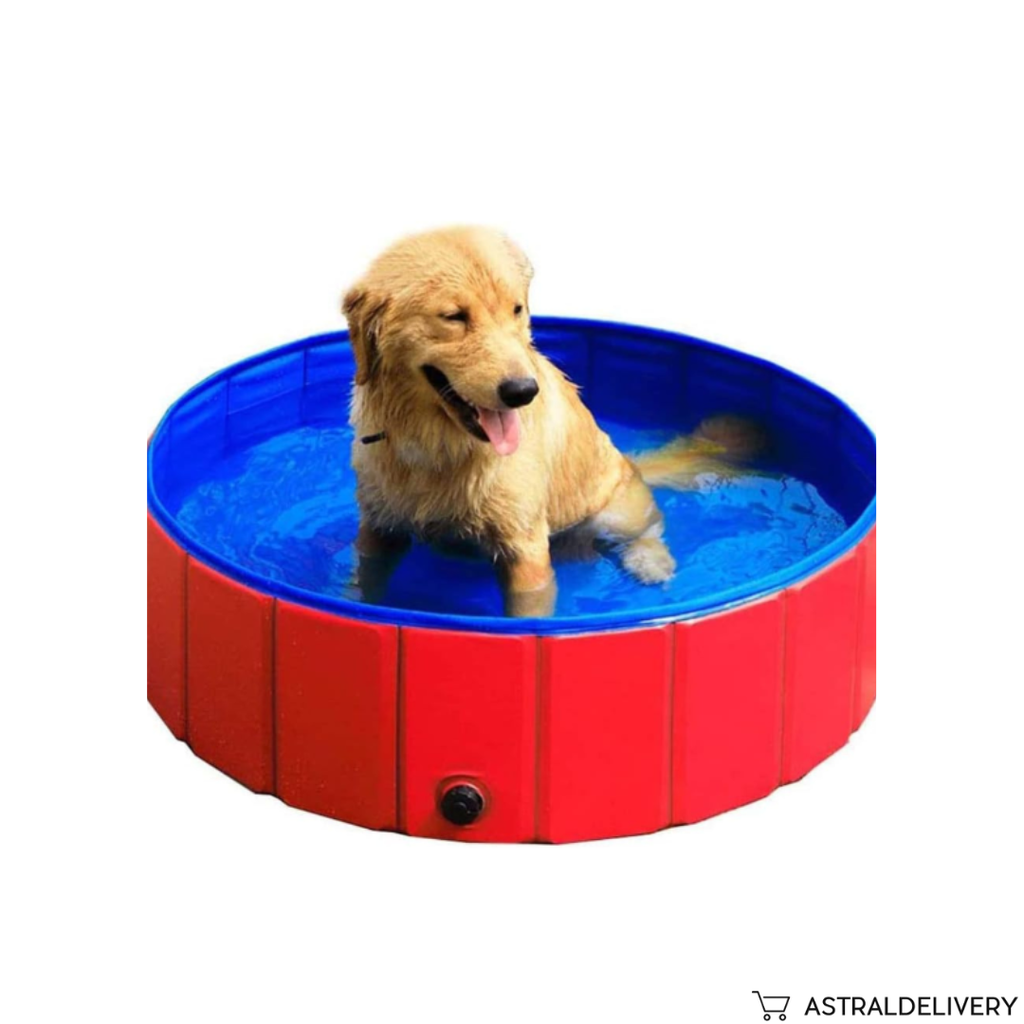 PetSplash-Piscina Plegable Para Mascota